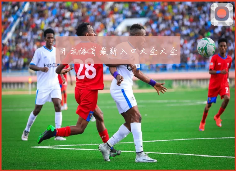 开云体育最新入口大全大全