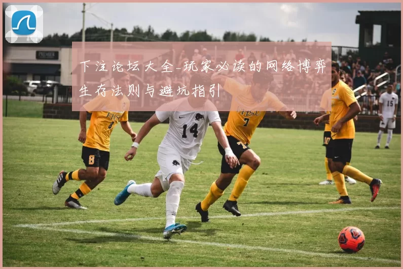 下注论坛大全_玩家必读的网络博弈生存法则与避坑指引