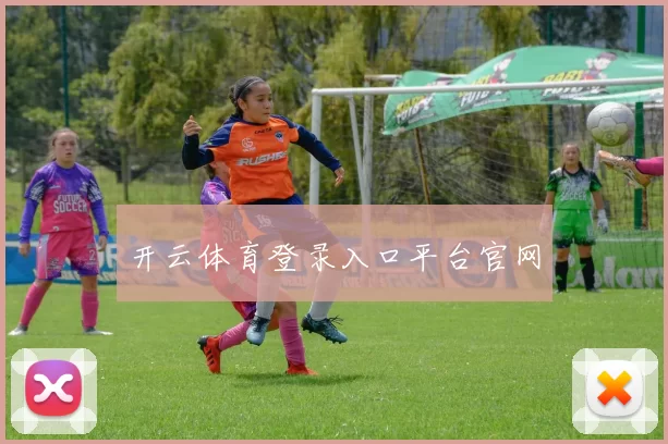 开云体育登录入口平台官网