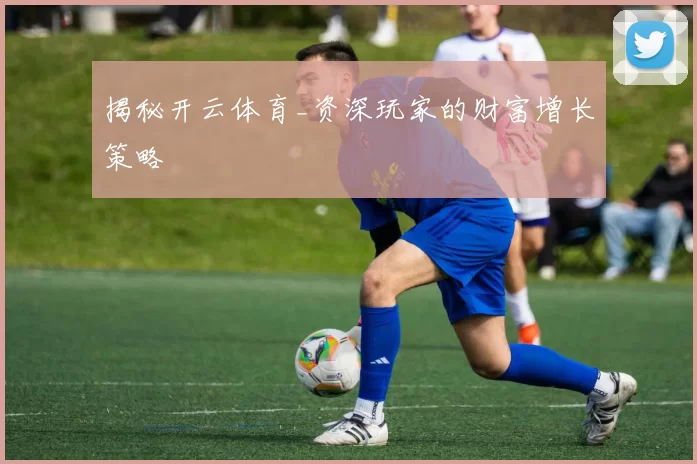 揭秘开云体育_资深玩家的财富增长策略