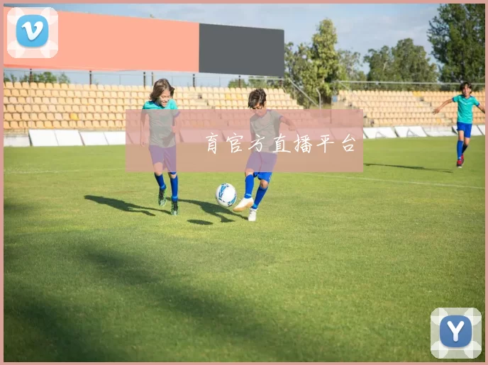 開雲體育官方直播平台