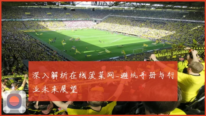 深入解析在线菠菜网_避坑手册与行业未来展望