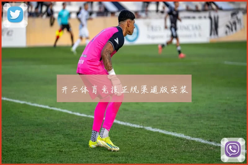 开云体育竞技正规渠道版安装