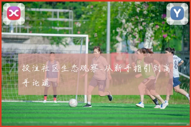 投注社区生态观察_从新手指引到高手论道