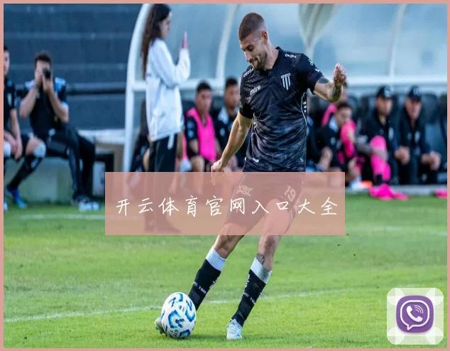 开云体育官网入口大全