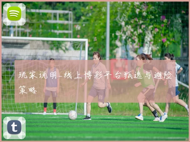 玩家说明_线上博彩平台甄选与避险策略