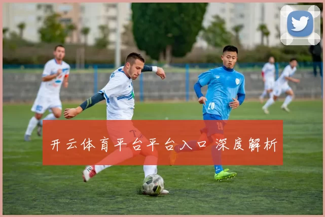 开云体育平台平台入口 深度解析