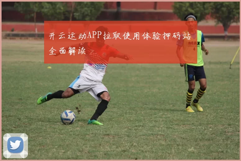 开云运动APP拉取使用体验押码站 全面解读