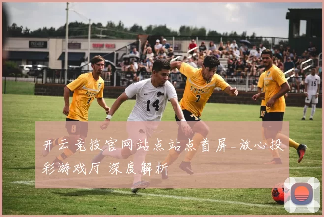 开云竞技官网站点站点首屏_放心投彩游戏厅 深度解析