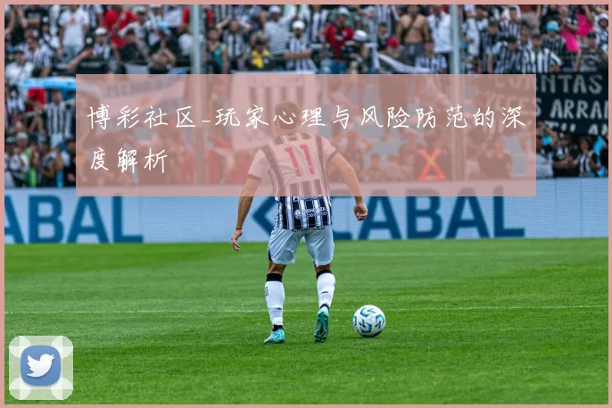 博彩社区_玩家心理与风险防范的深度解析