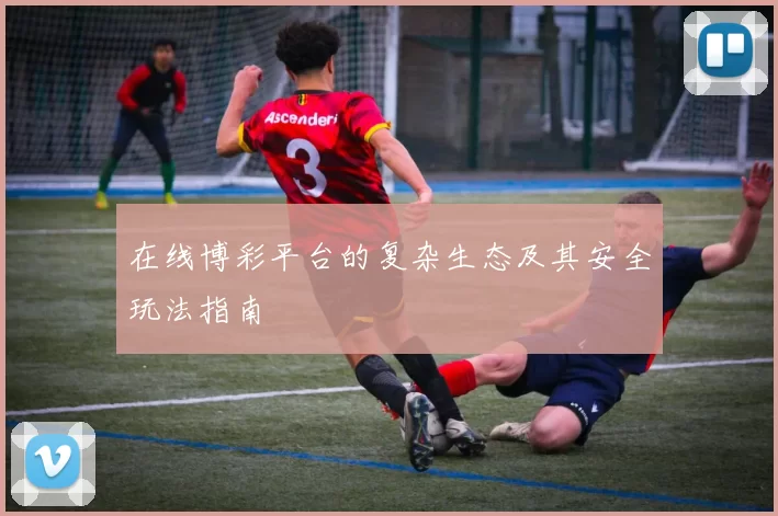 在线博彩平台的复杂生态及其安全玩法指南