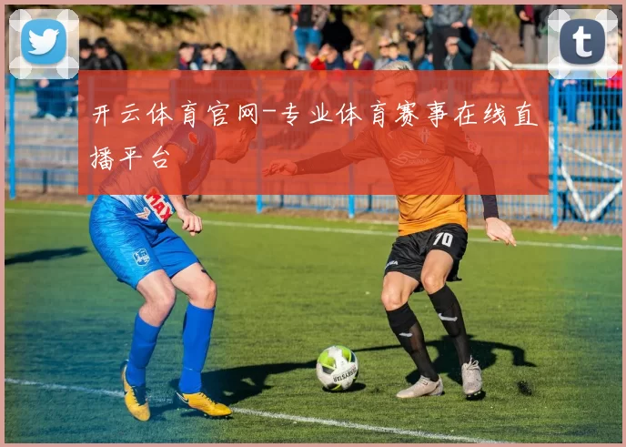 开云体育官网-专业体育赛事在线直播平台