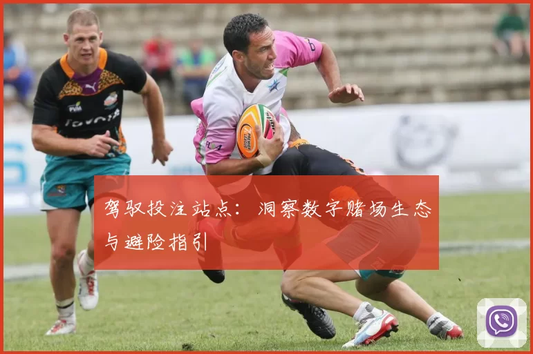 驾驭投注站点：洞察数字赌场生态与避险指引