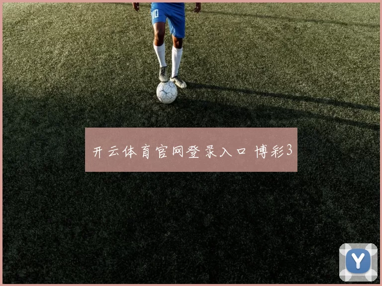 开云体育官网登录入口 博彩3