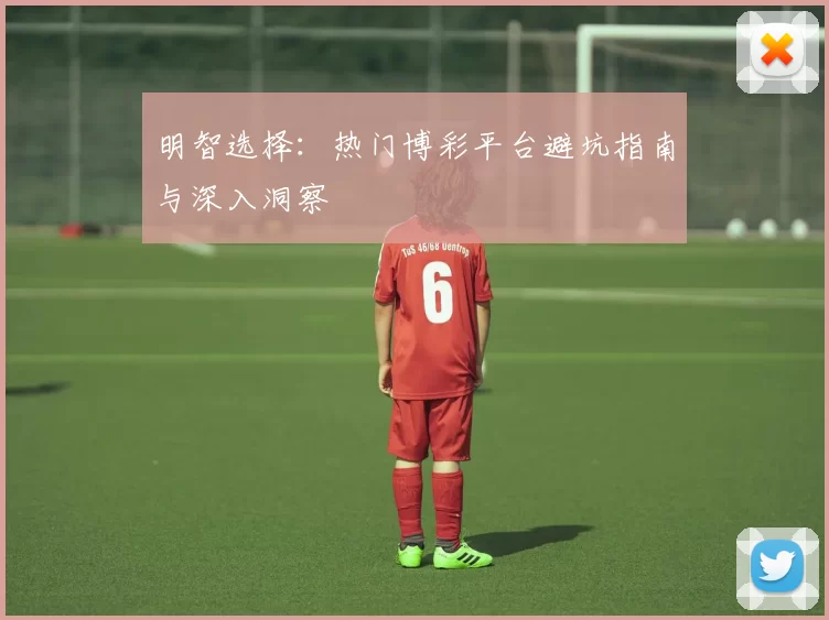 明智选择：热门博彩平台避坑指南与深入洞察