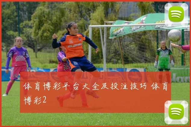 体育博彩平台大全及投注技巧 体育博彩2