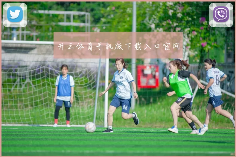 开云体育手机版下载入口官网