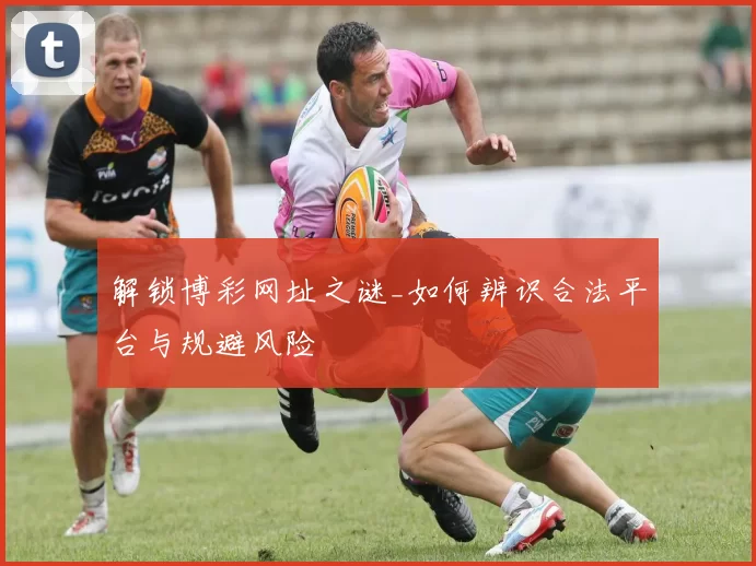 解锁博彩网址之谜_如何辨识合法平台与规避风险