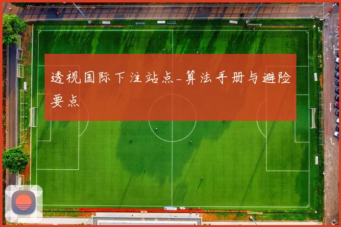 透视国际下注站点_算法手册与避险要点