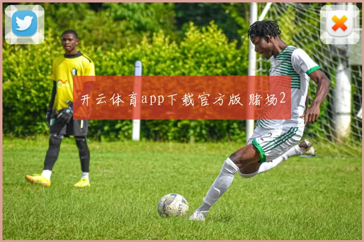 开云体育app下载官方版 赌场2
