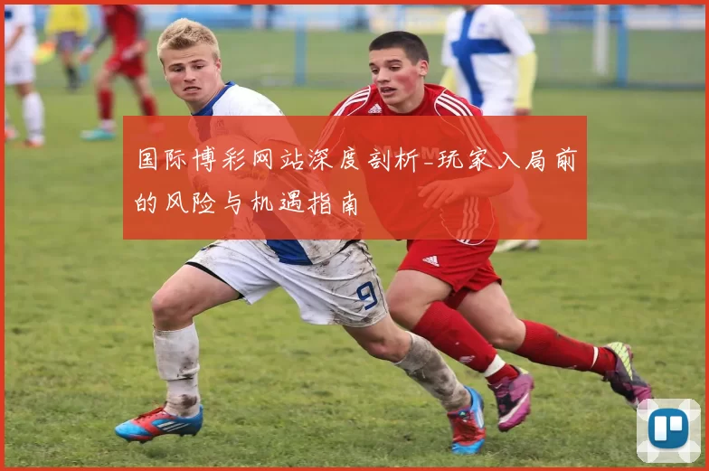 国际博彩网站深度剖析_玩家入局前的风险与机遇指南