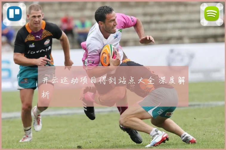 开云运动项目得到站点大全 深度解析