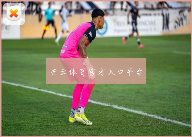 开云体育官方入口平台