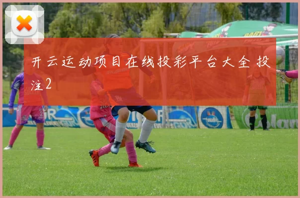 开云运动项目在线投彩平台大全 投注2